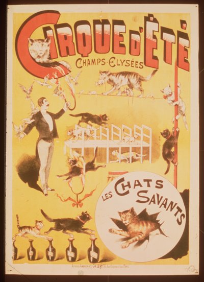 Poster pubblicitario del Cirque d